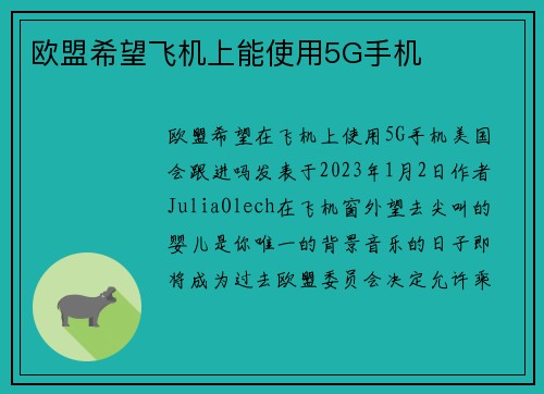 欧盟希望飞机上能使用5G手机