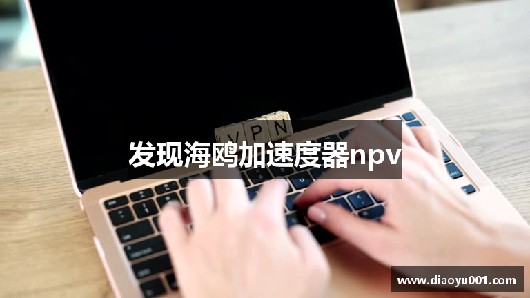 发现海鸥加速度器npv